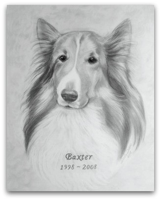 Portrait of Baxter