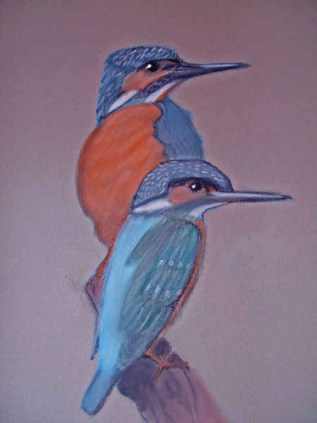 Kingfishers
