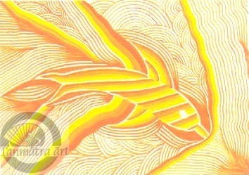 Dolphin Series.Orange.