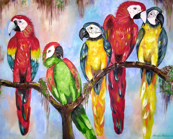 Parrots