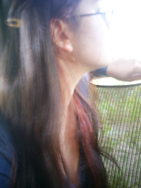 Into the Sunlight