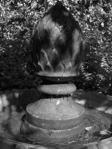 B/W Shadow's #1