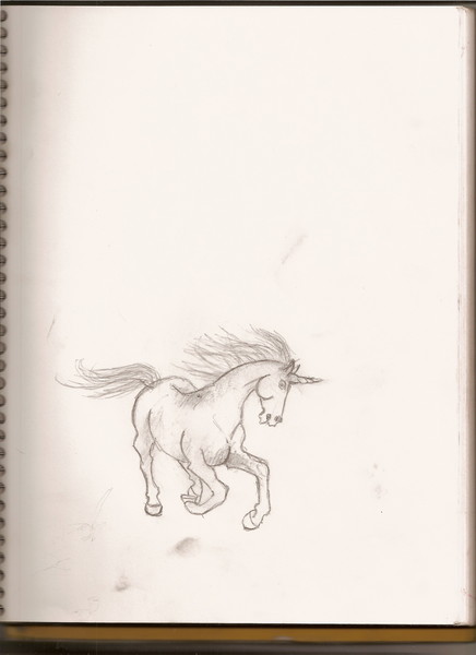 Unicorn