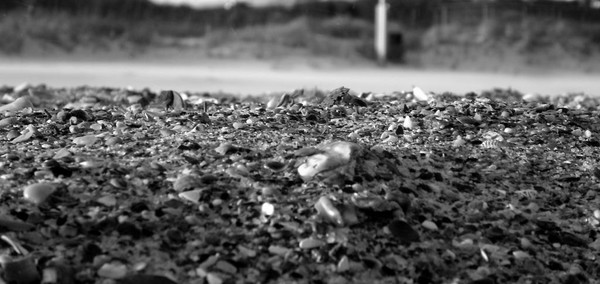 Sands of Time