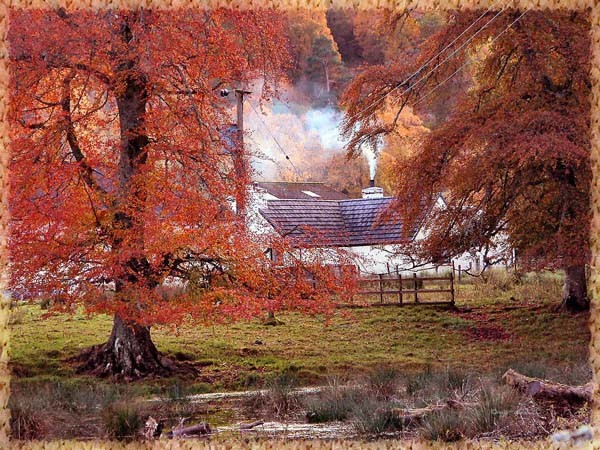 Autum in the highlands