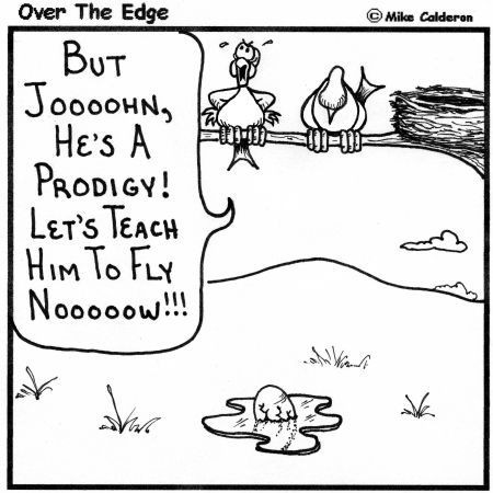 Birds...