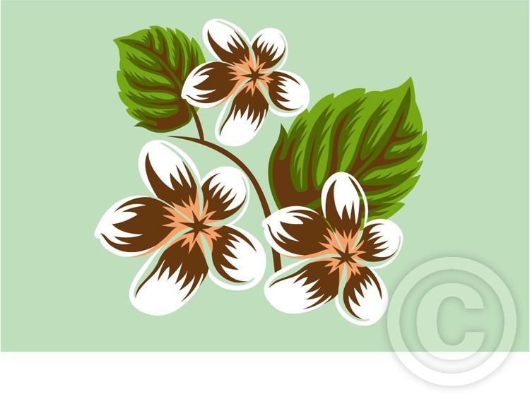 flower 4
