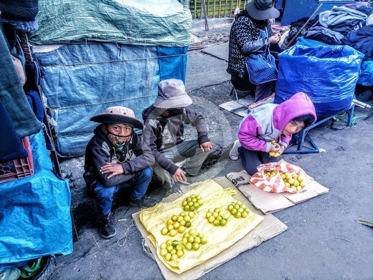 Niños vendiendo limones