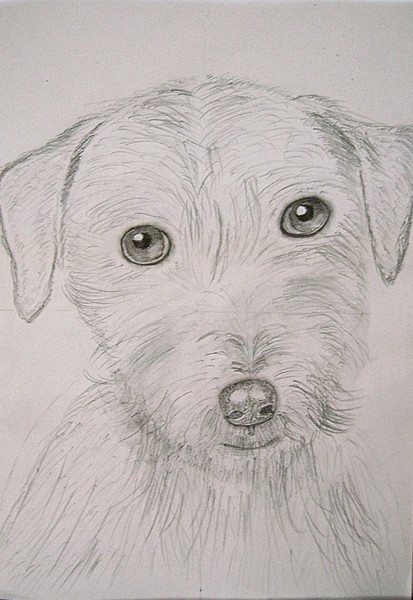 Jack