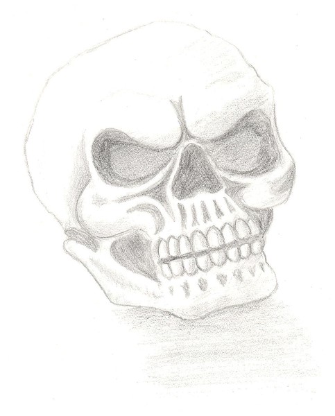 The Naked Head 2