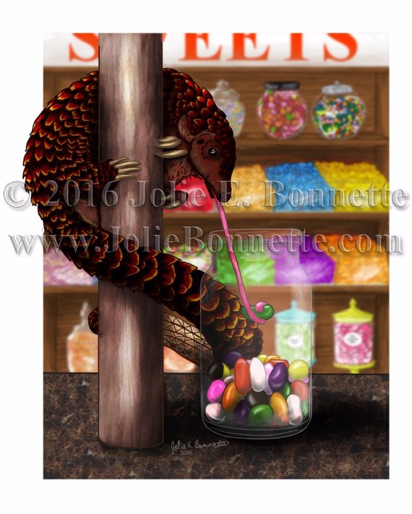 Beanz The Pangolin
