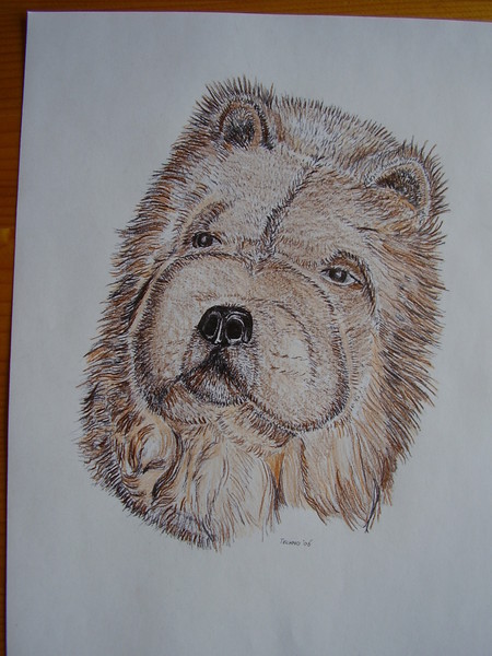Chow