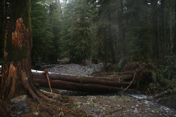 The Power of Mother Nature