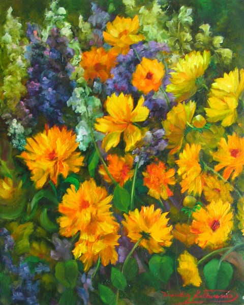 Jardín de Coreopsis