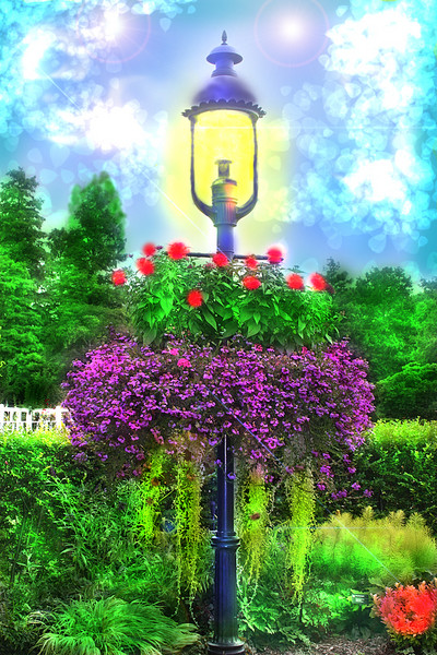 GASLAMP IN THE CLEARING MORNING