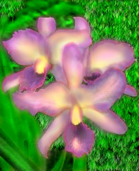 ROYAL FLARE ORCHID paintography by Michael Forbus 