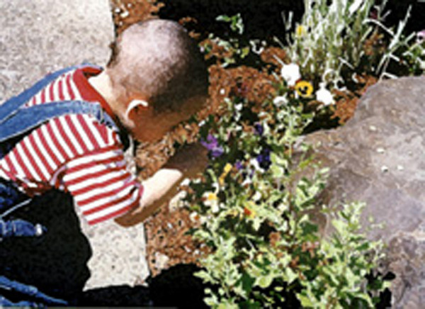 Smelling The Flowers