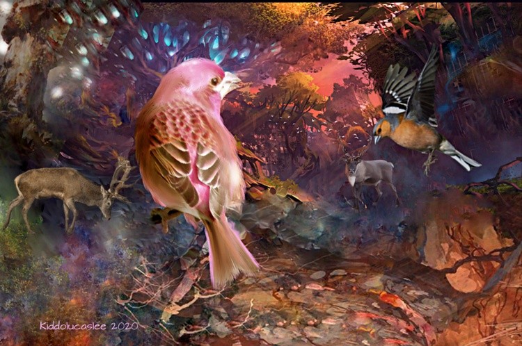  Rubylight Bushglade * 2020 Kiddolucaslee