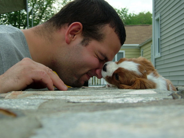 Puppy Kisses