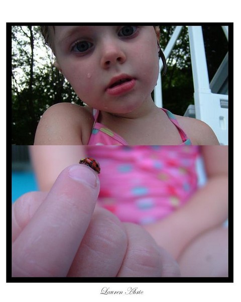 Ladybug deduction
