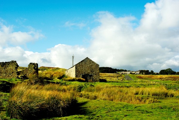 The Old Barn