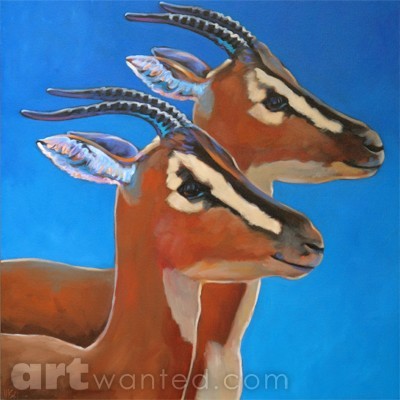 Soemmerring's Gazelles