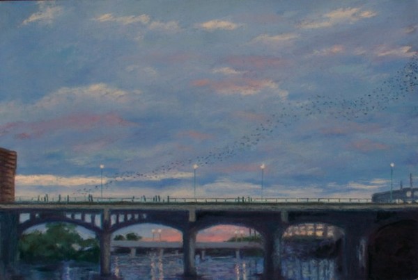 Bats Sailing from Congress Avenue Bridge