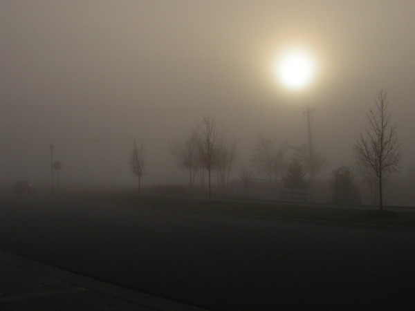 Through the Fog - A