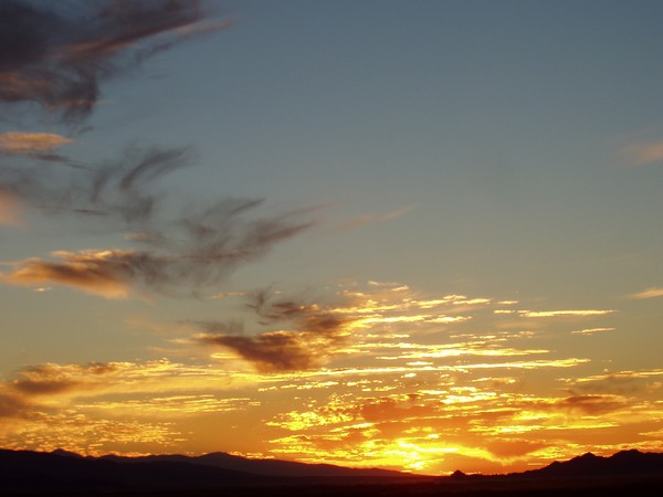 Mellow  Yellow #2