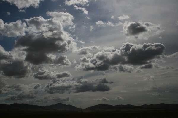 Cowboy Skys #3