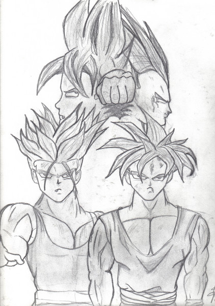 The Team