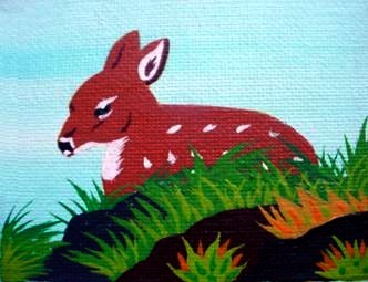 *Hidden Fawn*       SOLD