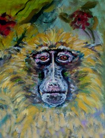 Monkey