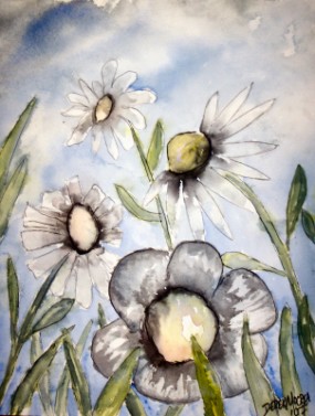 Field of white flowers