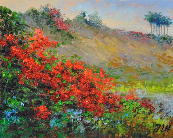 Bogainvilleas.