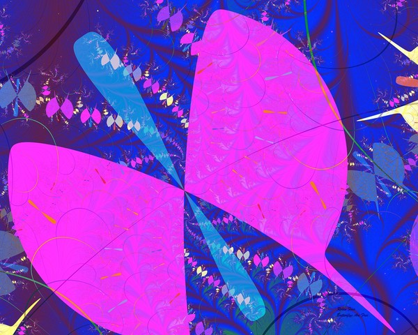 Butterflys Are Free