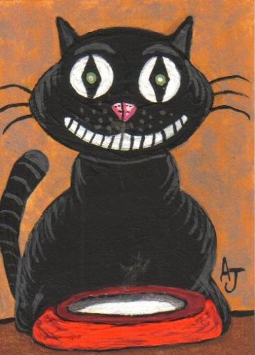 BoBo the Black Cat