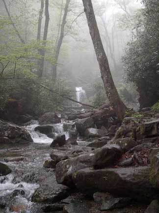 Grotto Falls, Tn