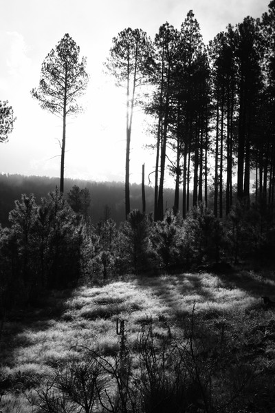 Quiet Morning