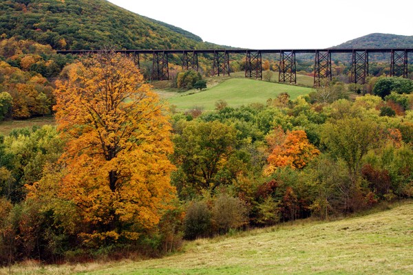 Old school tressel