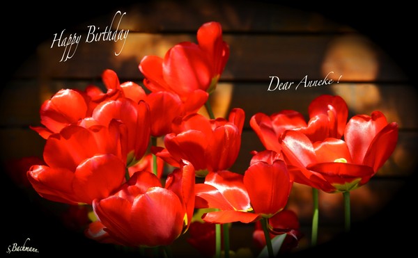 Happy Birthday dear Anneke !