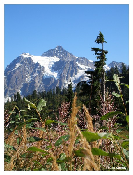 Mt.Shuksan