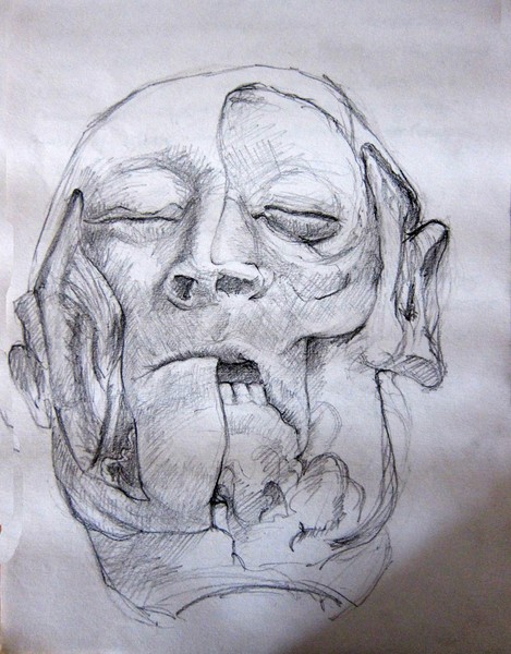 Autopsy Study SLICED HEAD