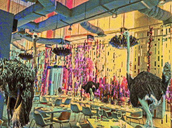 ostrichs at infuzi
