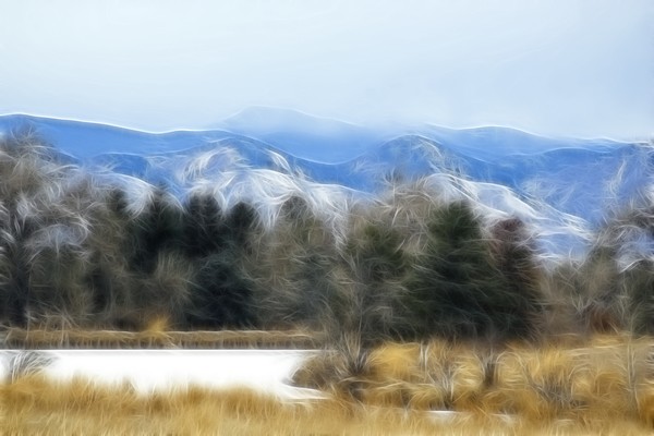 Fractal Winter Wilds