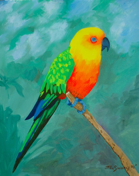 Yellow Orange Parekeet
