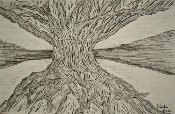 Roots and Shoots