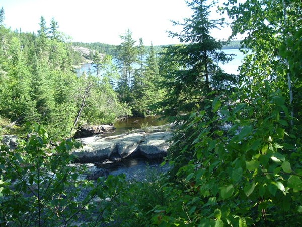 Tulibe falls II