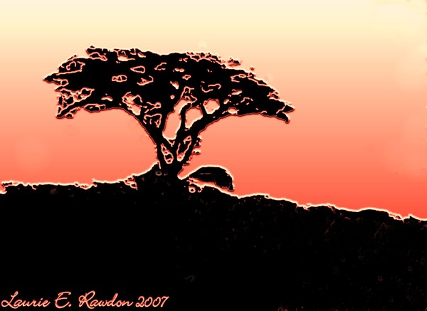 African Plains Revisited