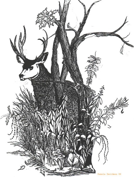 P.A. Buck